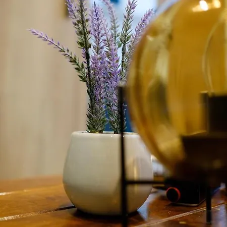 Cozy Homey Apartman Apartment *